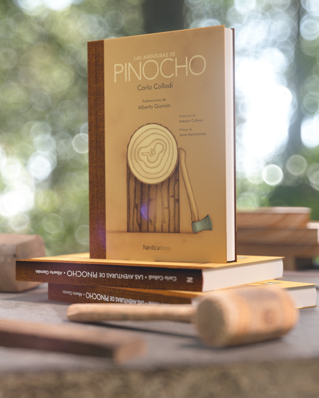 Las aventuras de Pinocho - Imagen 3