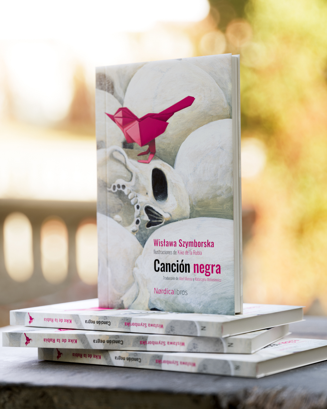 Canción negra (edición centenario) - Imagen 4