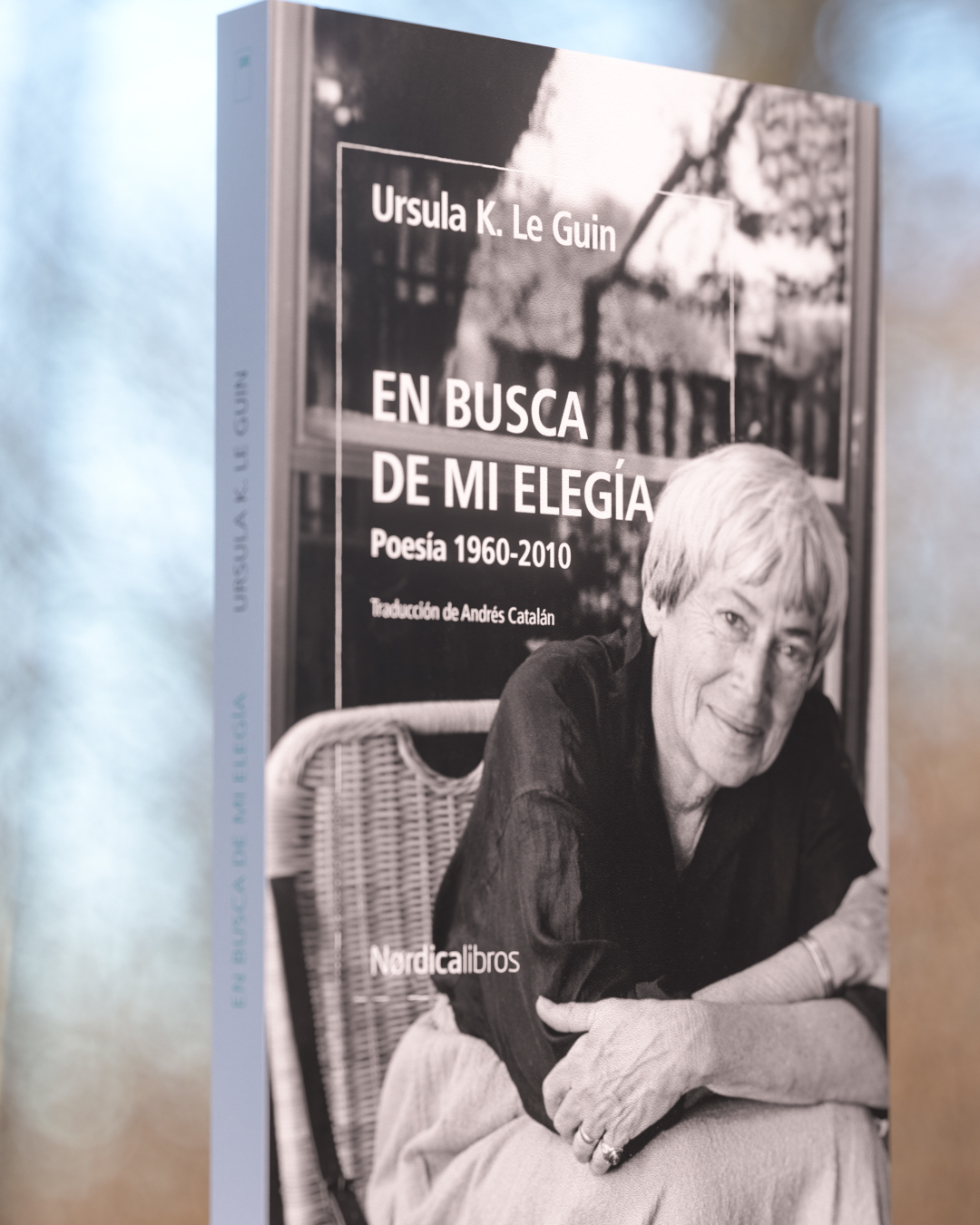 En busca de mi elegía - Imagen 4