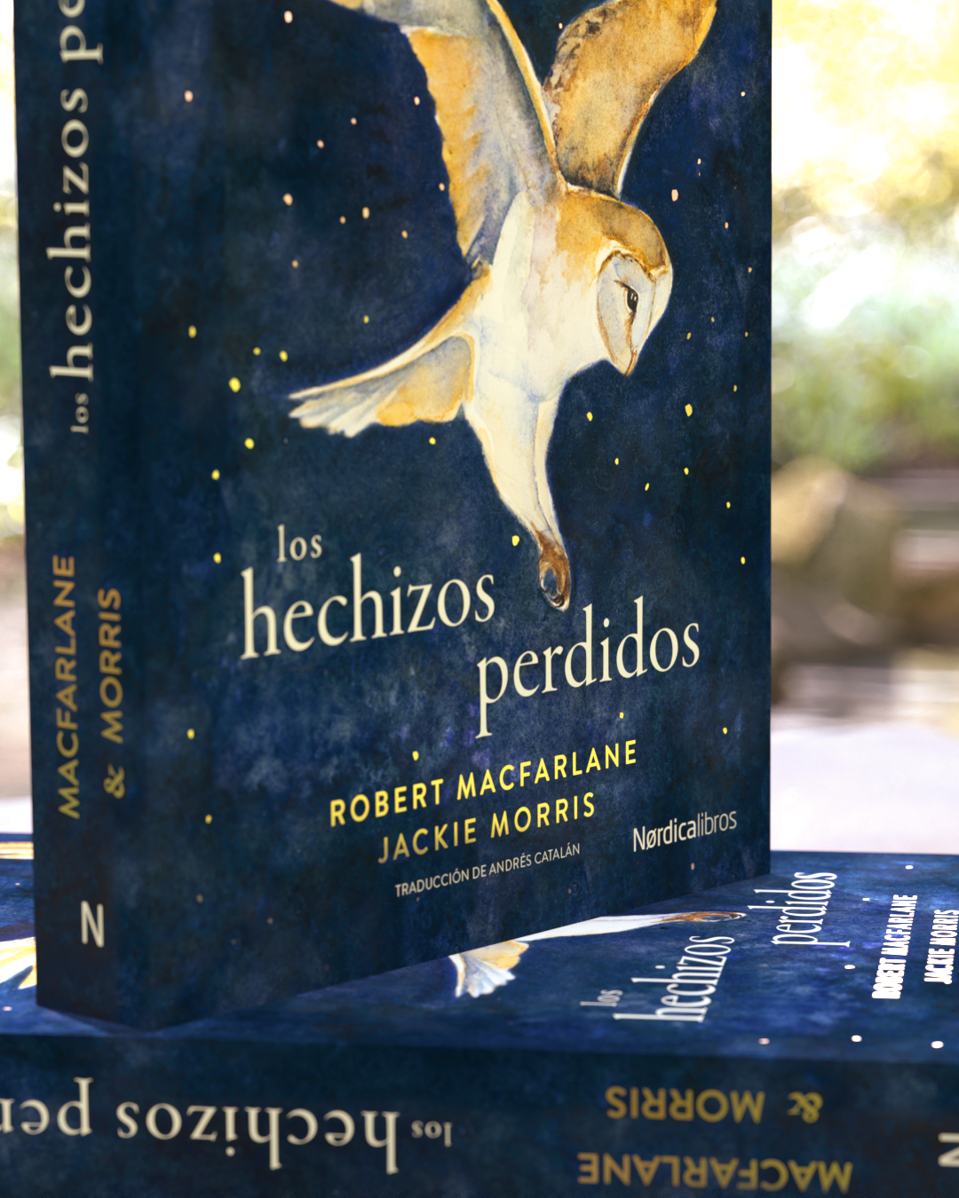 Los hechizos perdidos - Imagen 4