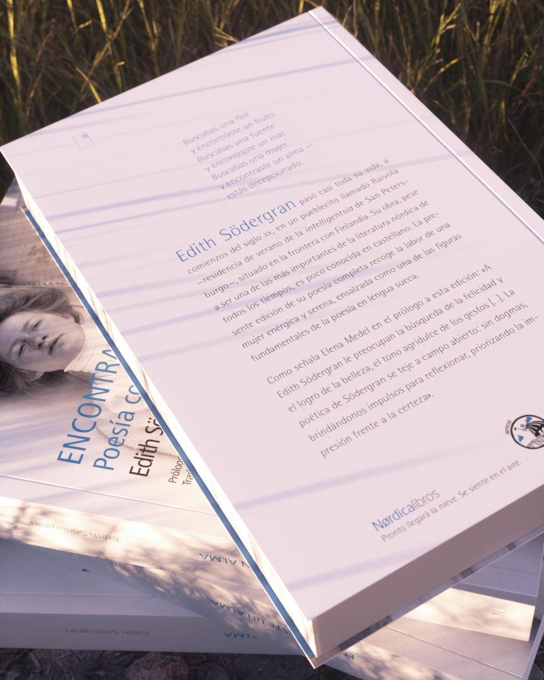 Encontraste un alma (ed. cartoné) - Imagen 5