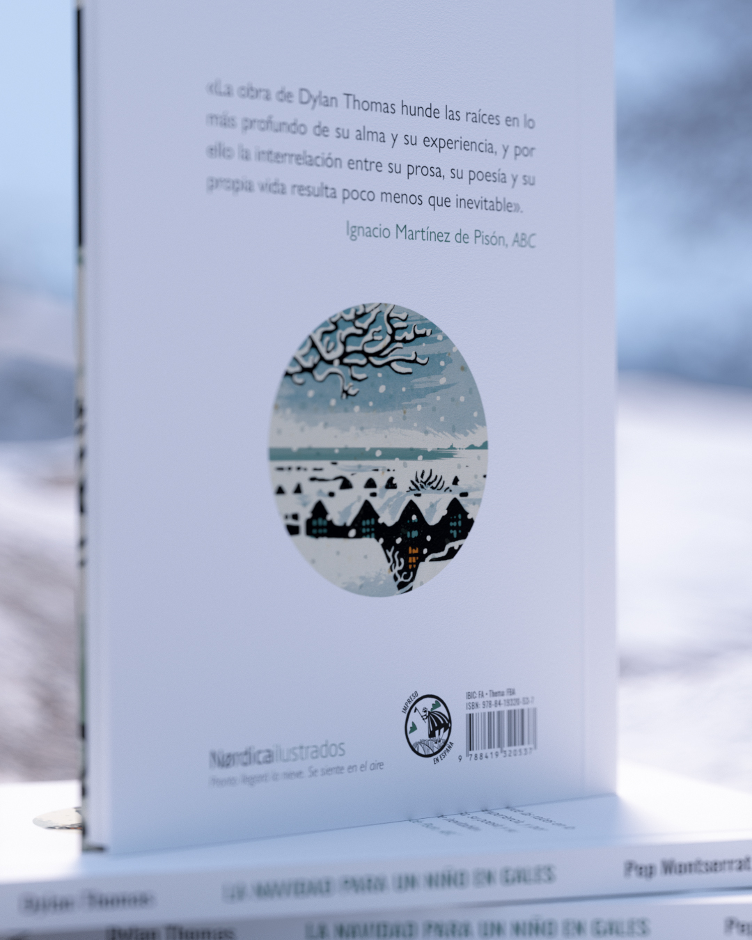 La Navidad para un niño en Gales (Ed. Cartoné) - Imagen 5