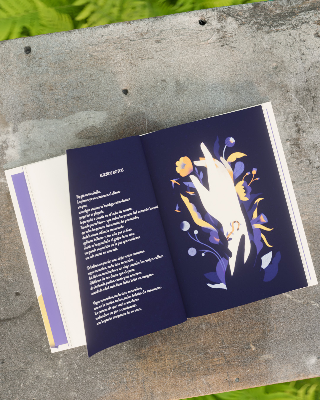 He extendido mis sueños a tus pies - Imagen 5