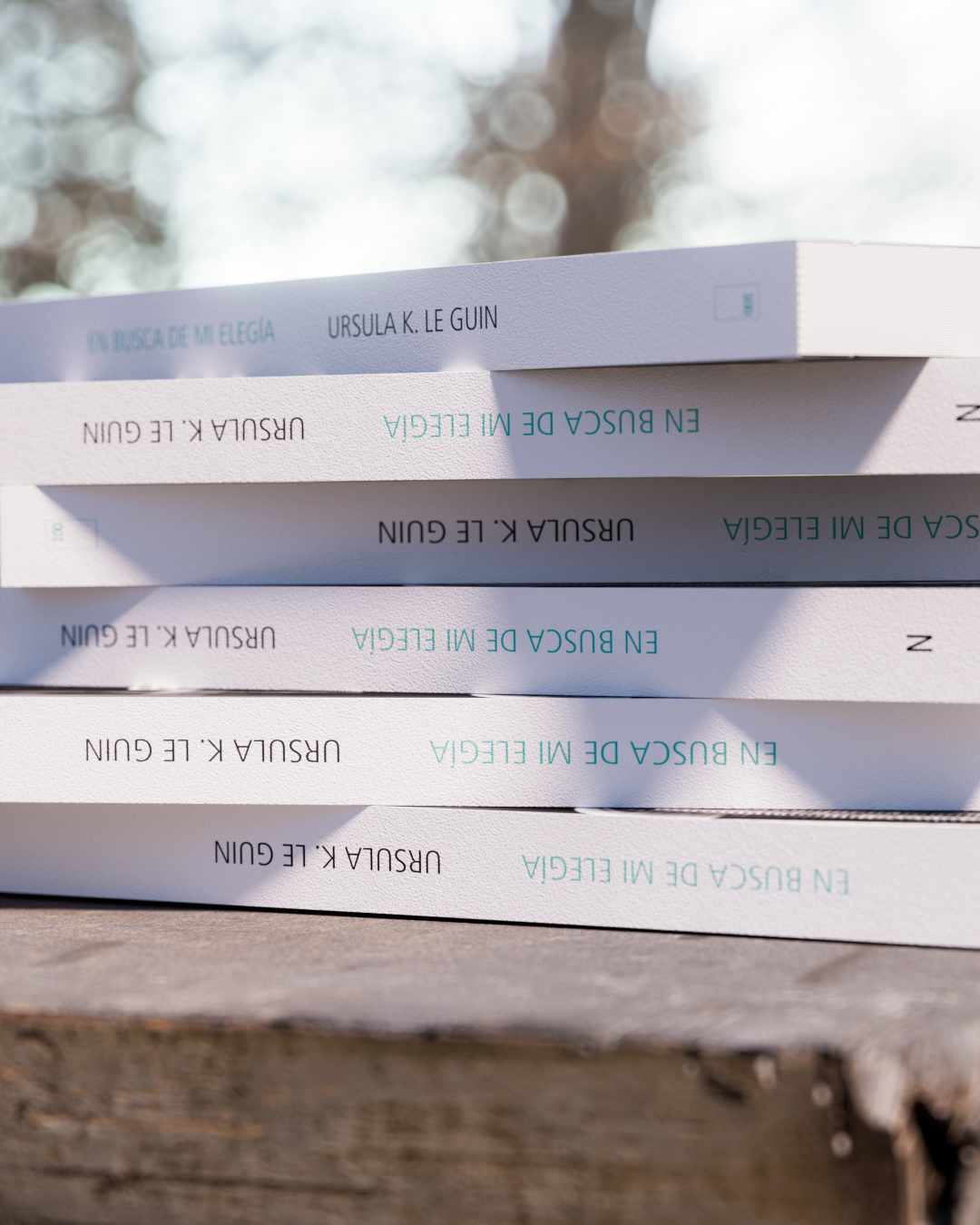 En busca de mi elegía - Imagen 5