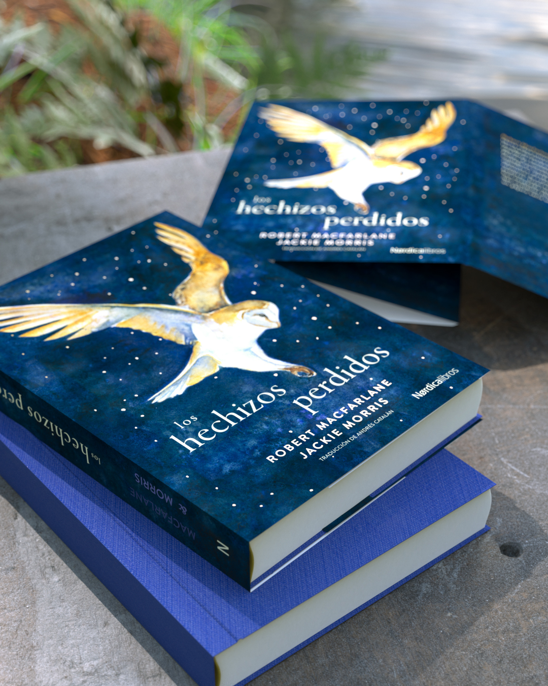 Los hechizos perdidos - Imagen 5