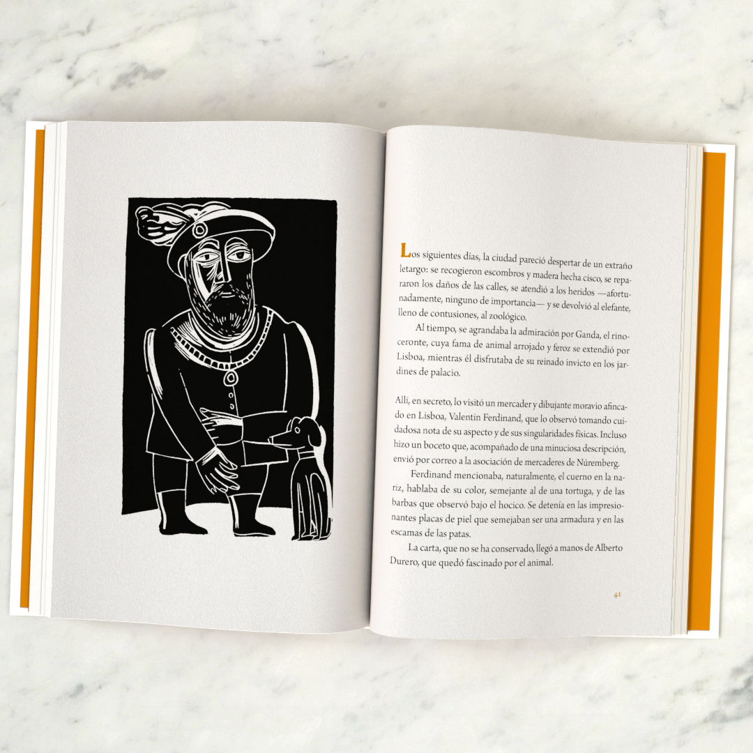 El rinoceronte del rey - Imagen 5