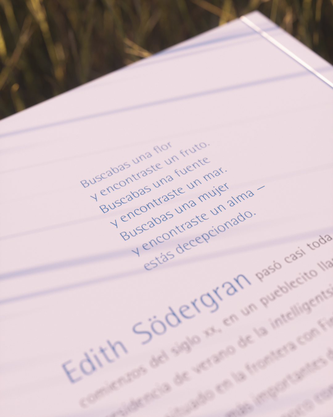 Encontraste un alma (ed. cartoné) - Imagen 6