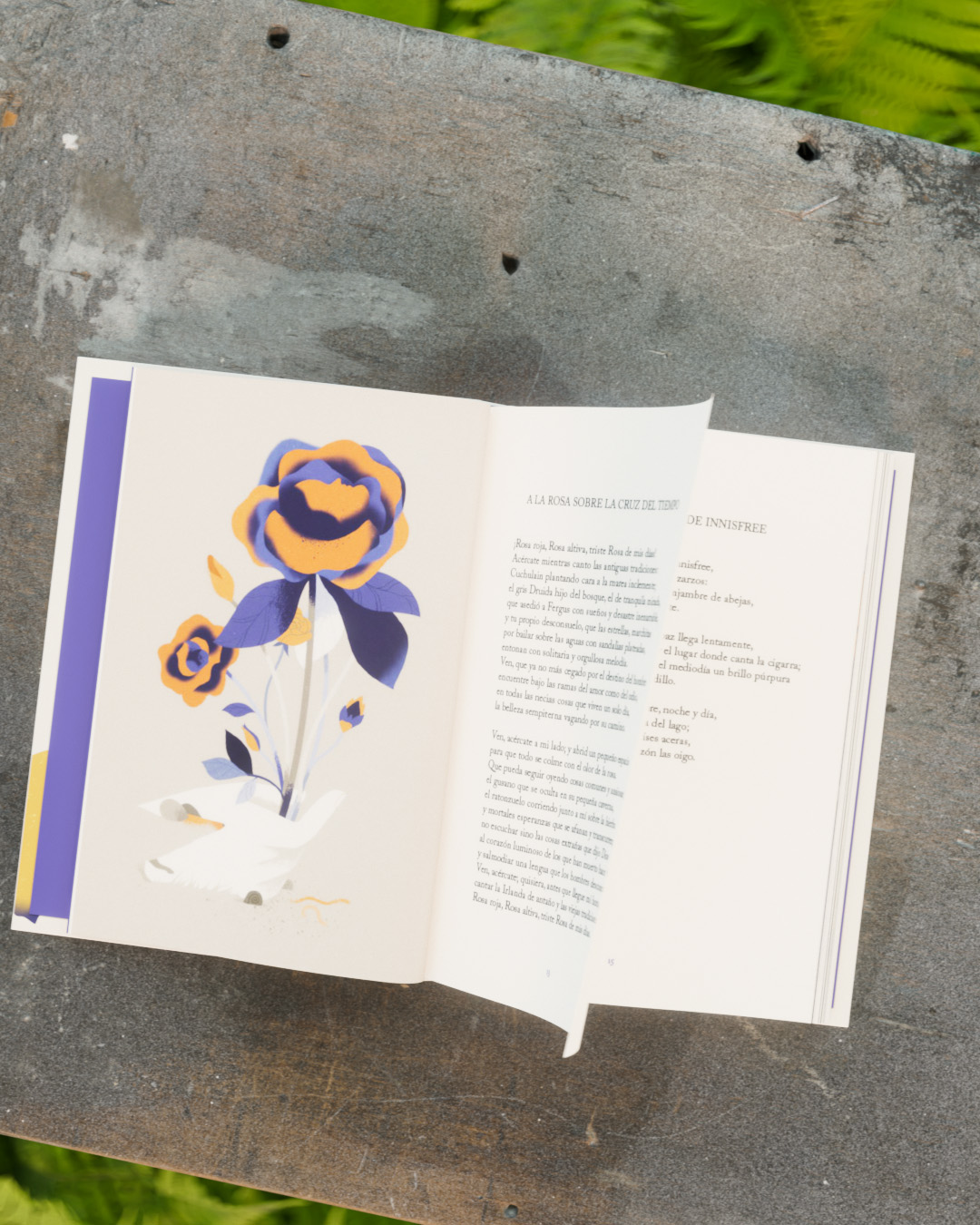 He extendido mis sueños a tus pies - Imagen 6