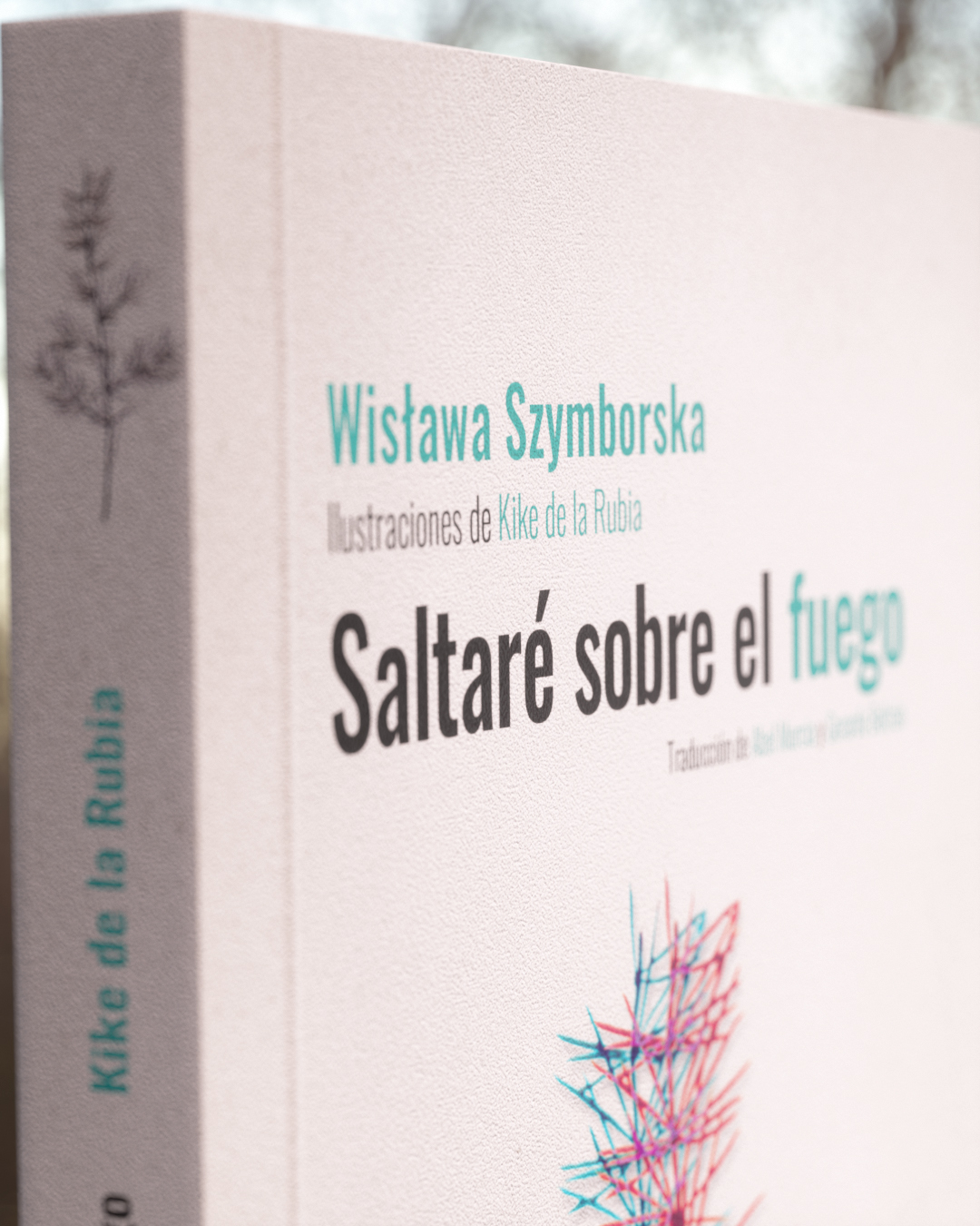 Saltaré sobre el fuego - Imagen 6