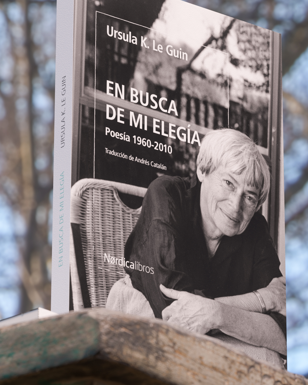 En busca de mi elegía - Imagen 6