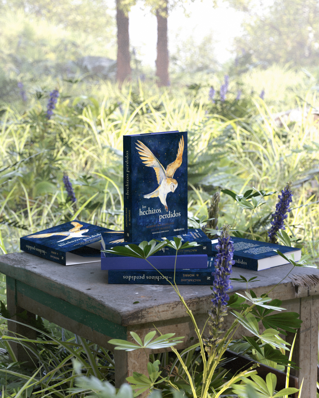 Los hechizos perdidos - Imagen 6