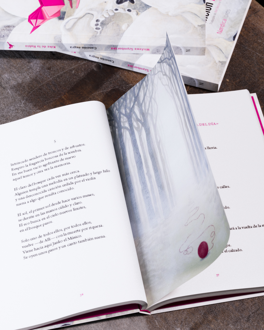 Canción negra (edición centenario) - Imagen 7