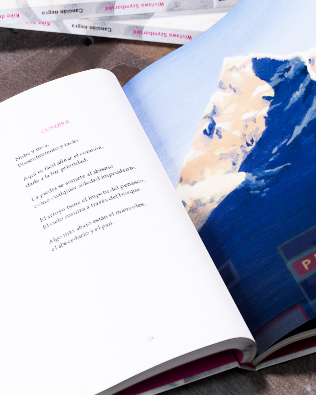 Canción negra (edición centenario) - Imagen 8