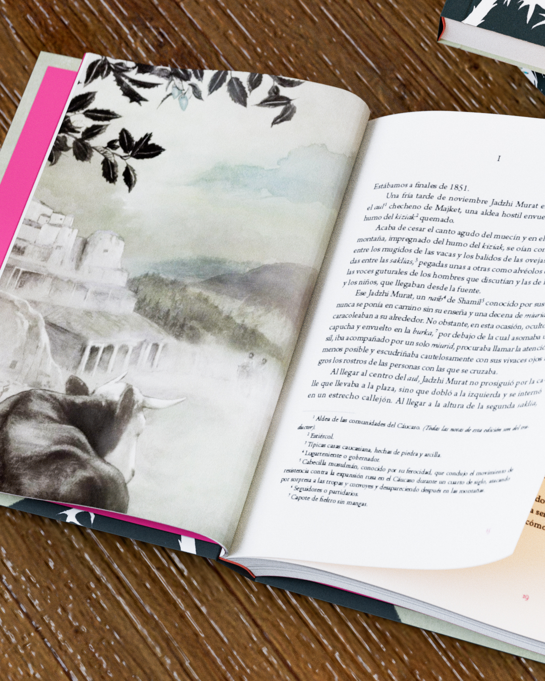 Jadzhi Murat - Imagen 8