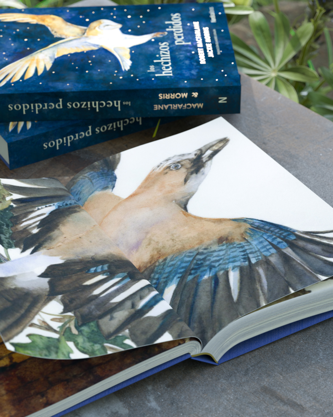 Los hechizos perdidos - Imagen 8