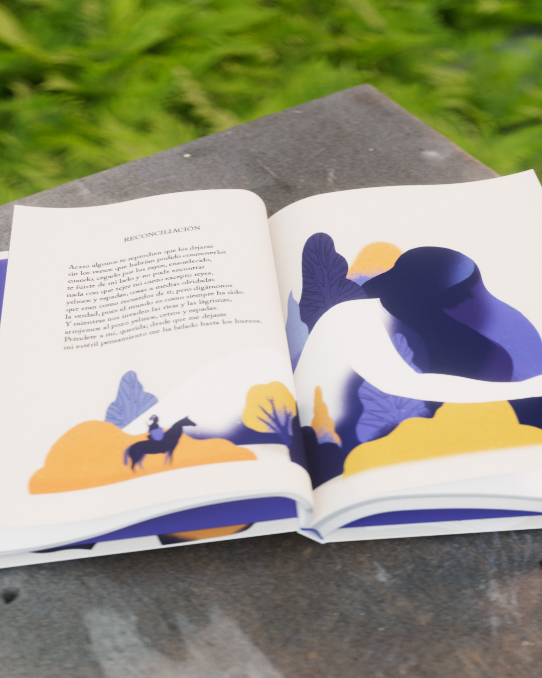 He extendido mis sueños a tus pies - Imagen 9