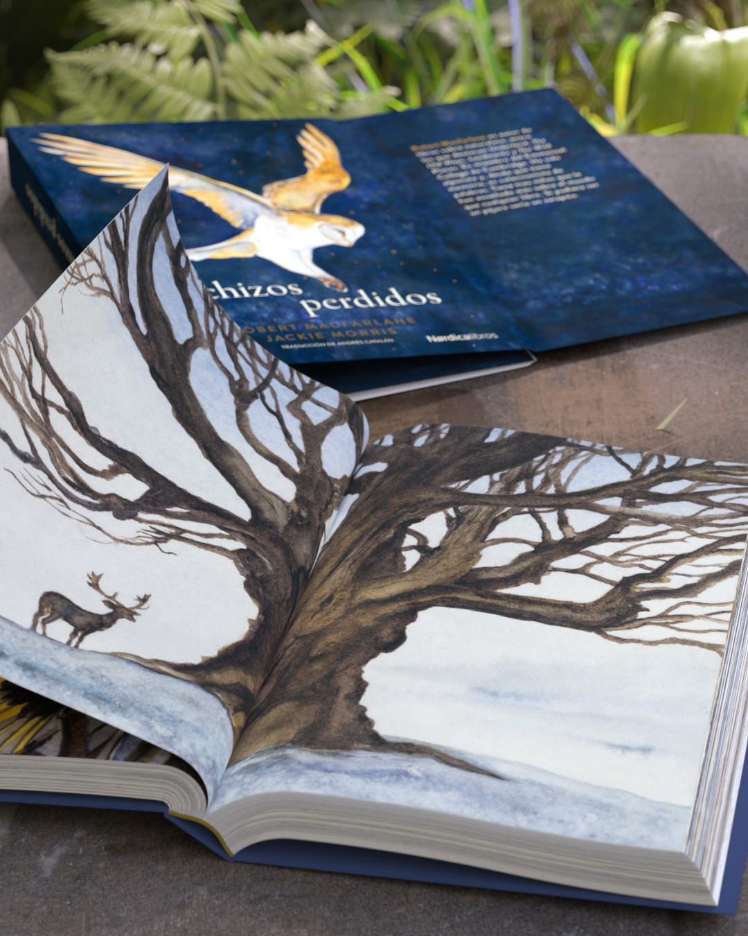 Los hechizos perdidos - Imagen 9