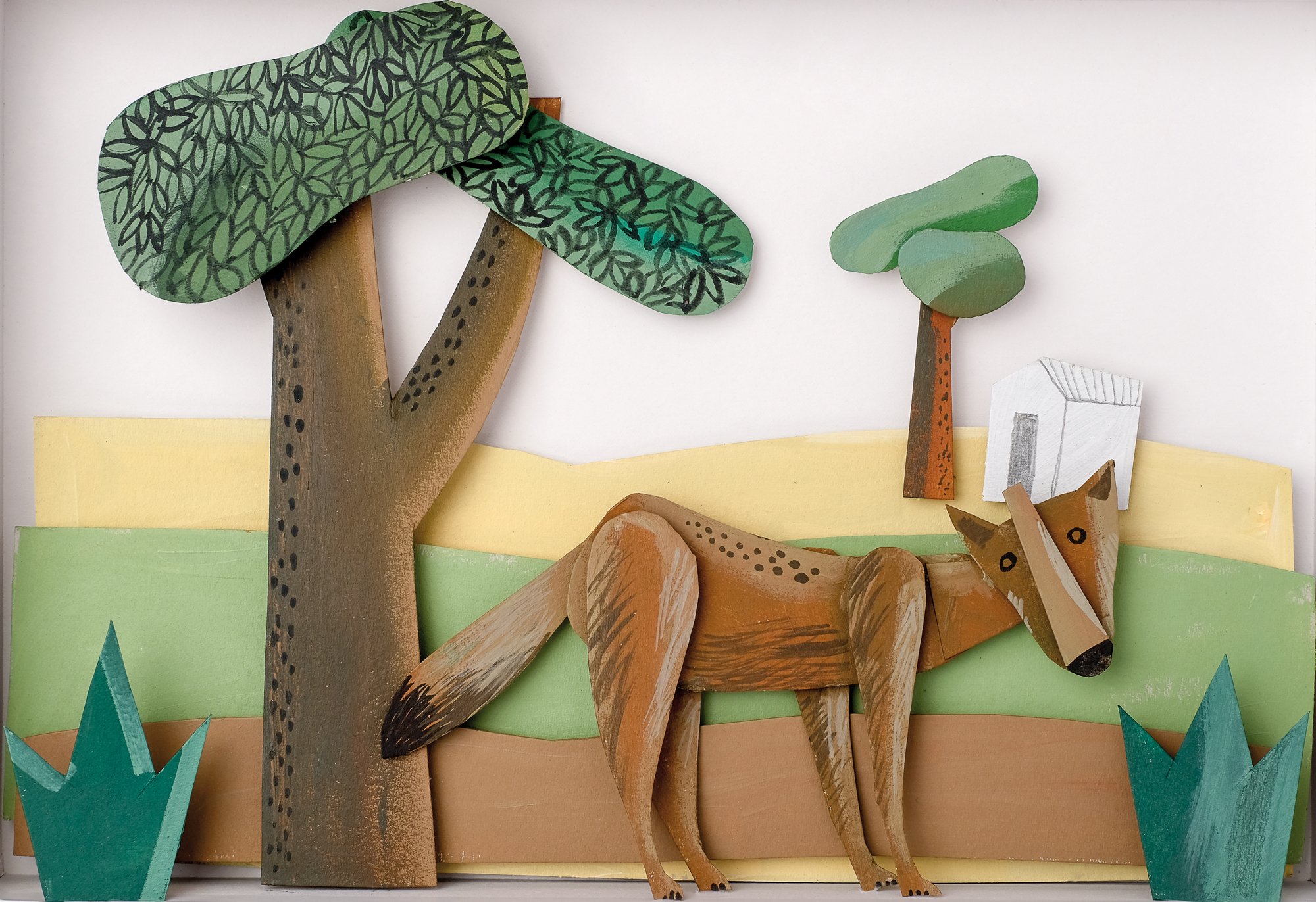 Cuentos de la selva - Imagen 3