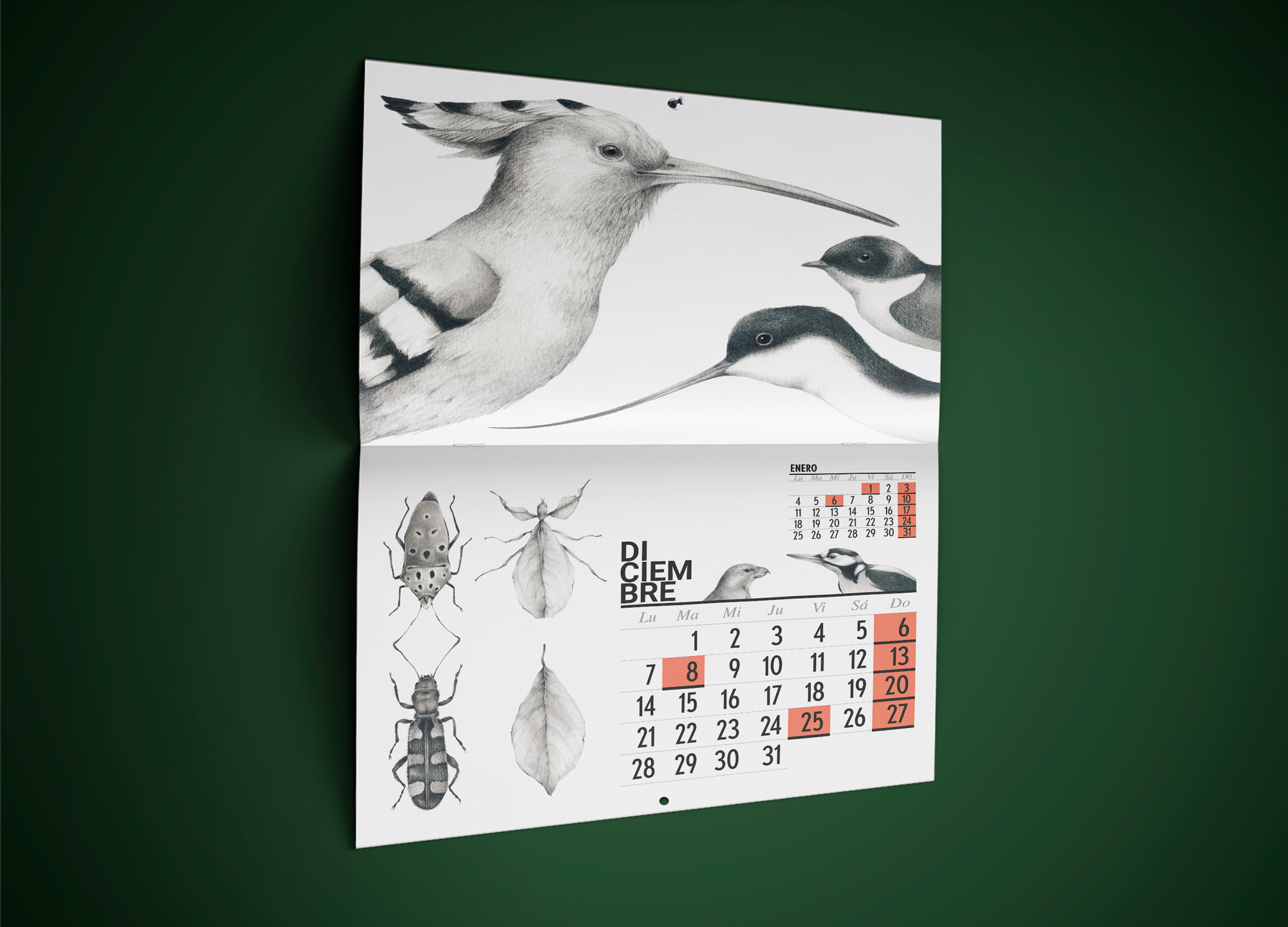 Calendario 2020 La selección natural - Imagen 3