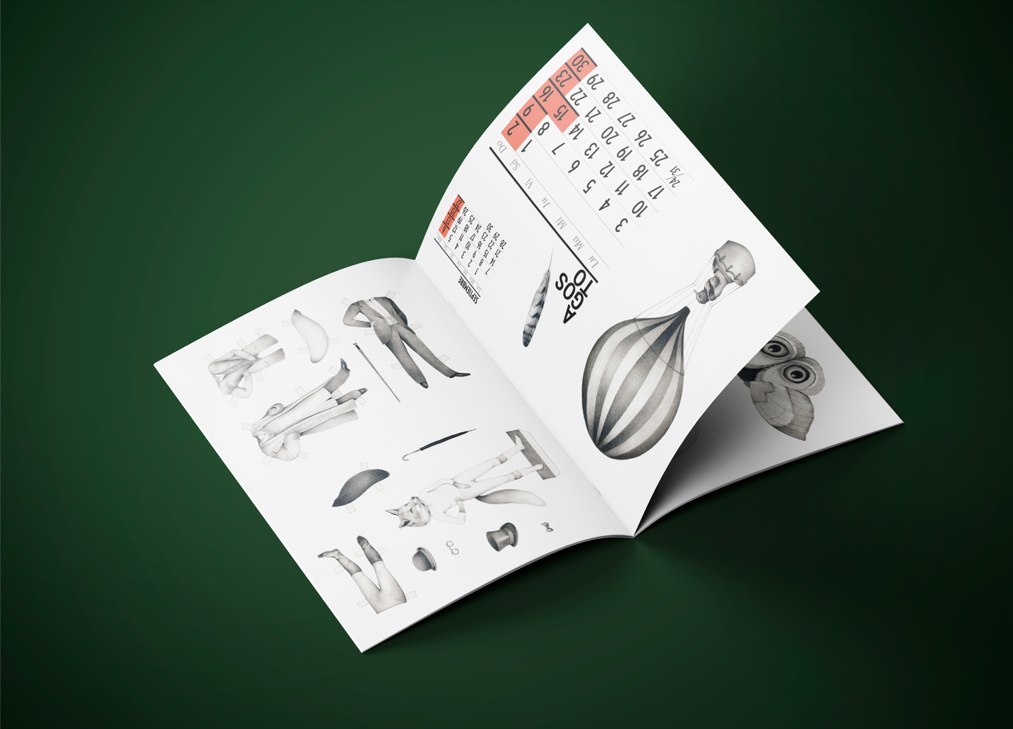 Calendario 2020 La selección natural - Imagen 9