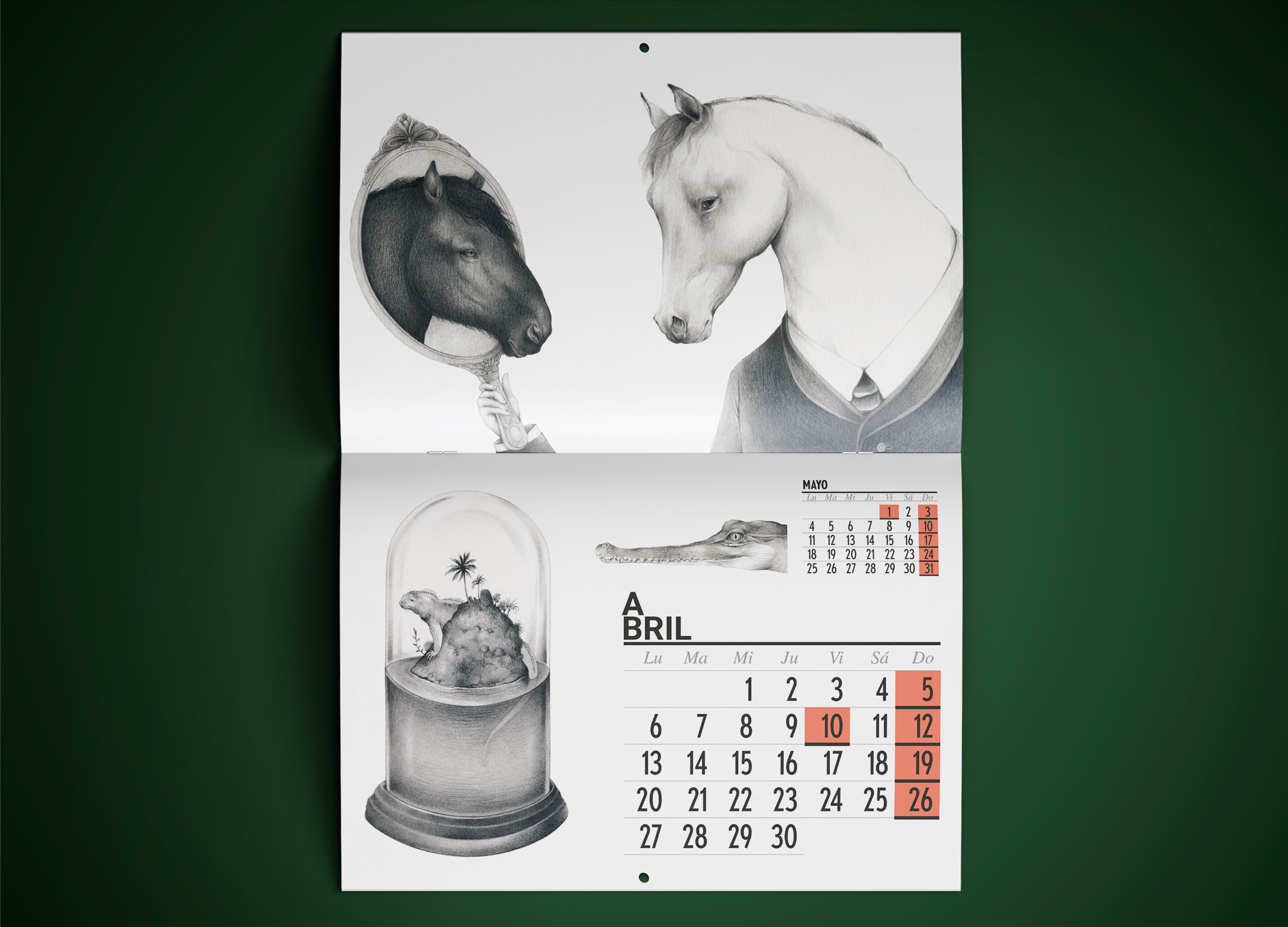 Calendario 2020 La selección natural - Imagen 5