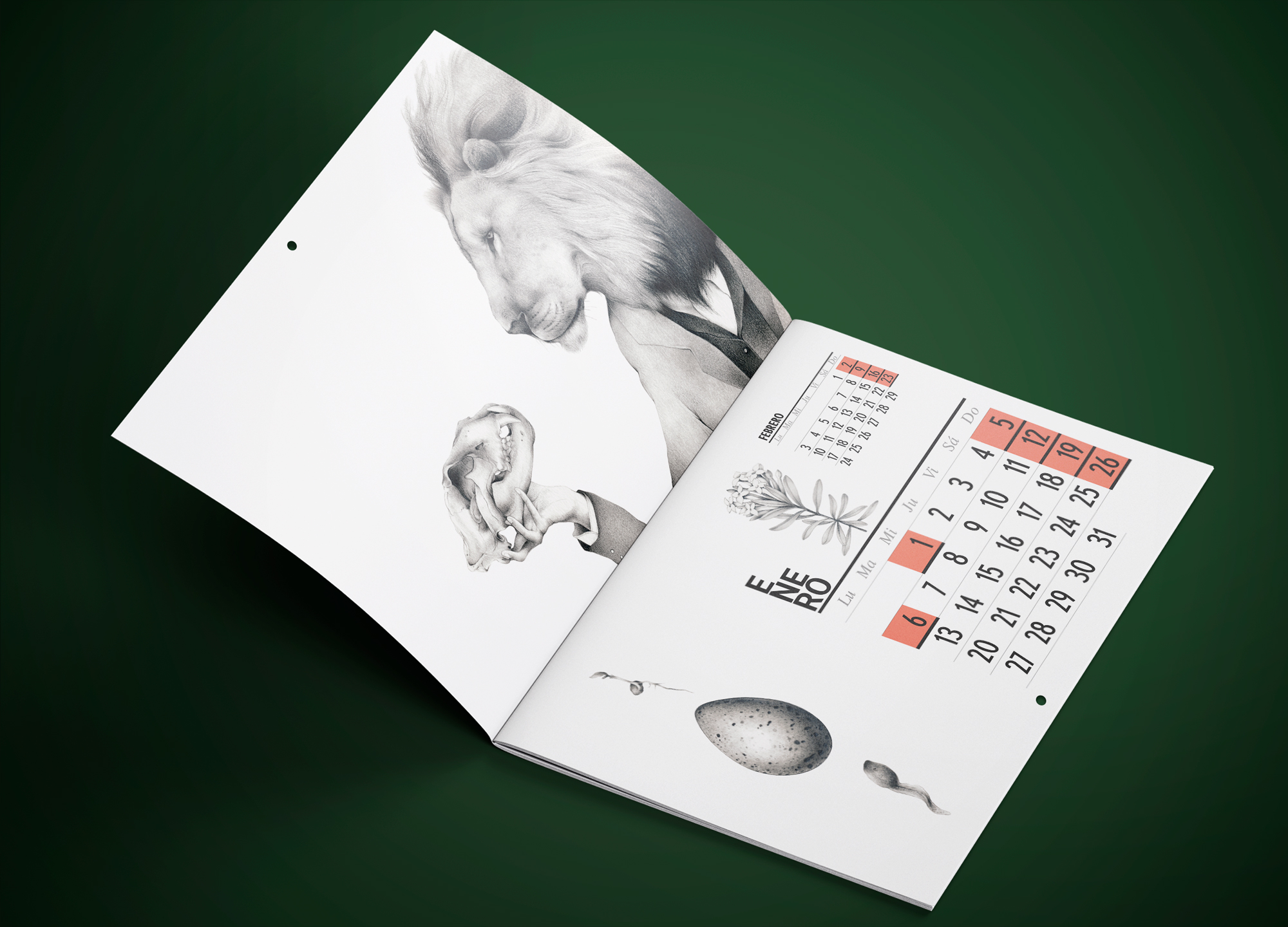 Calendario 2020 La selección natural - Imagen 7