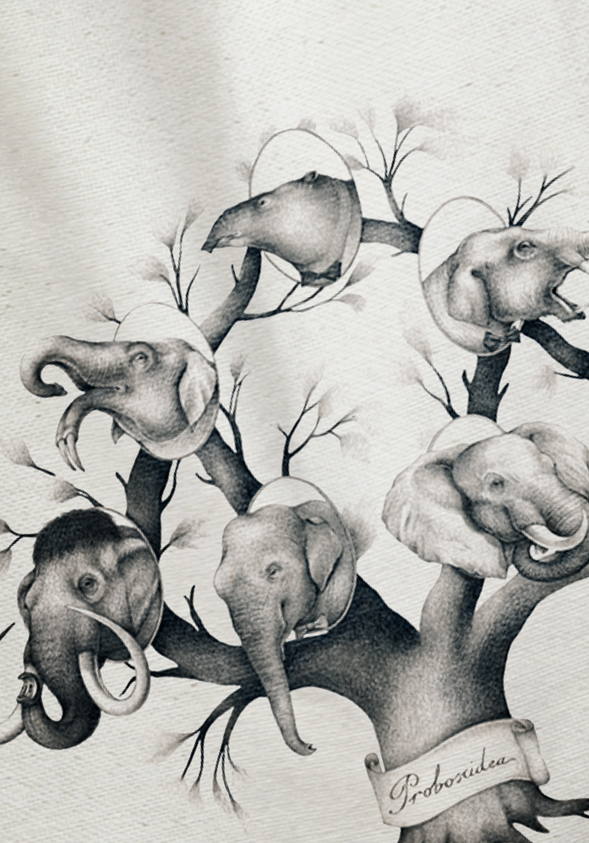 Bolsa La selección natural - Imagen 6