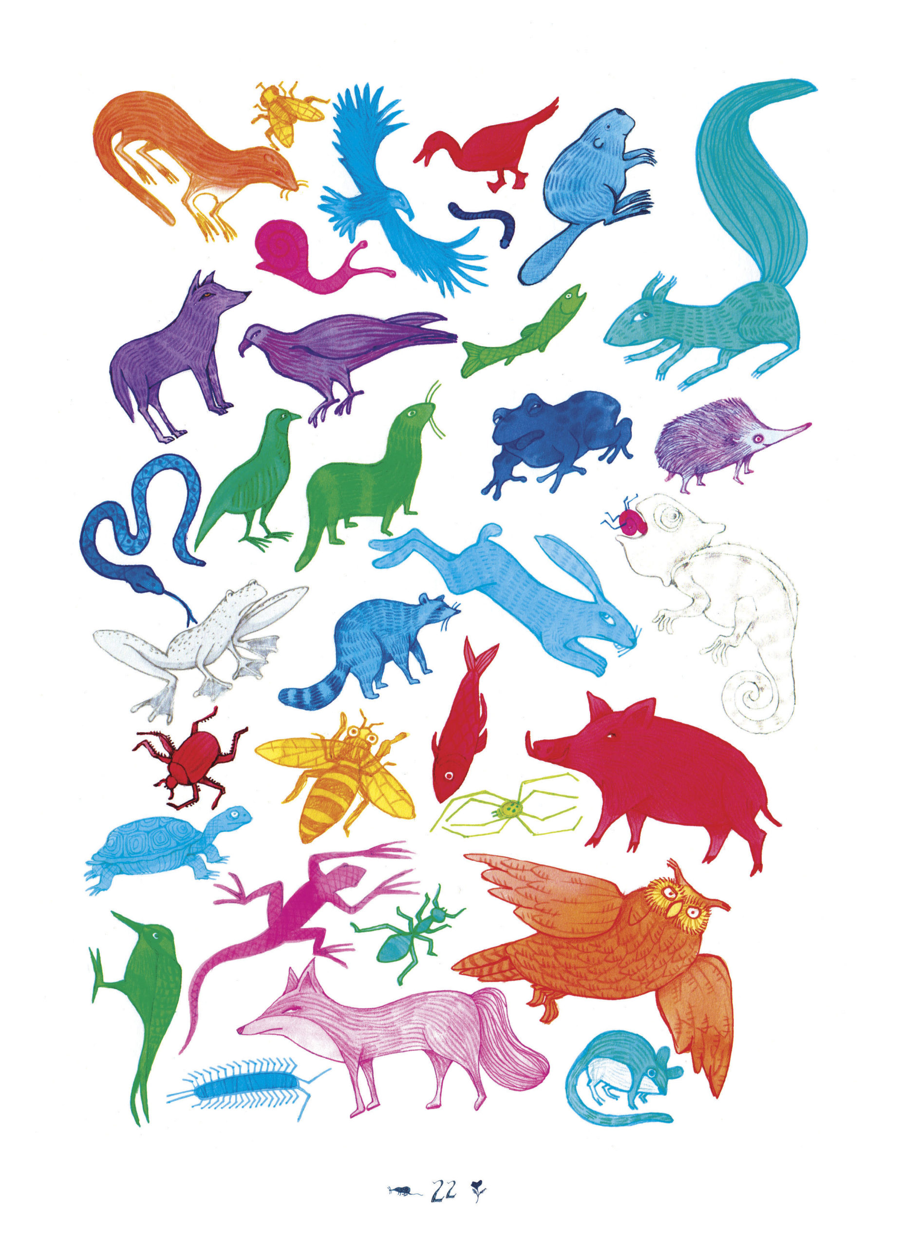 El rey del bosque - Imagen 9