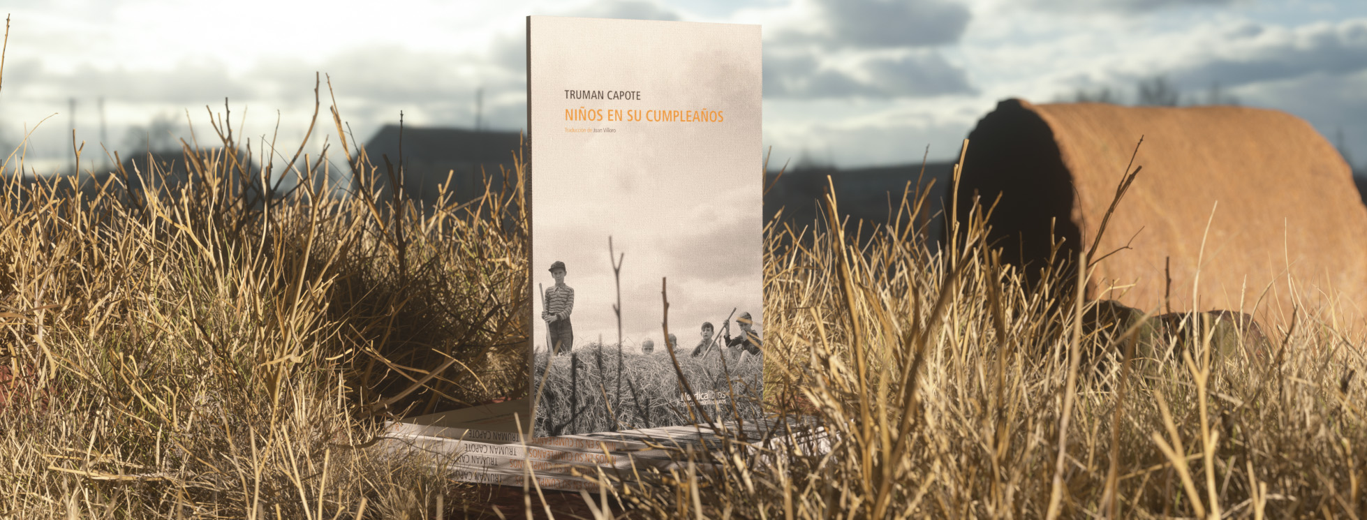 Niños en su cumpleaños - Imagen 7