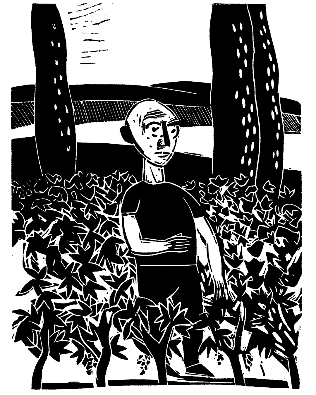 Hierro fumando - Imagen 3