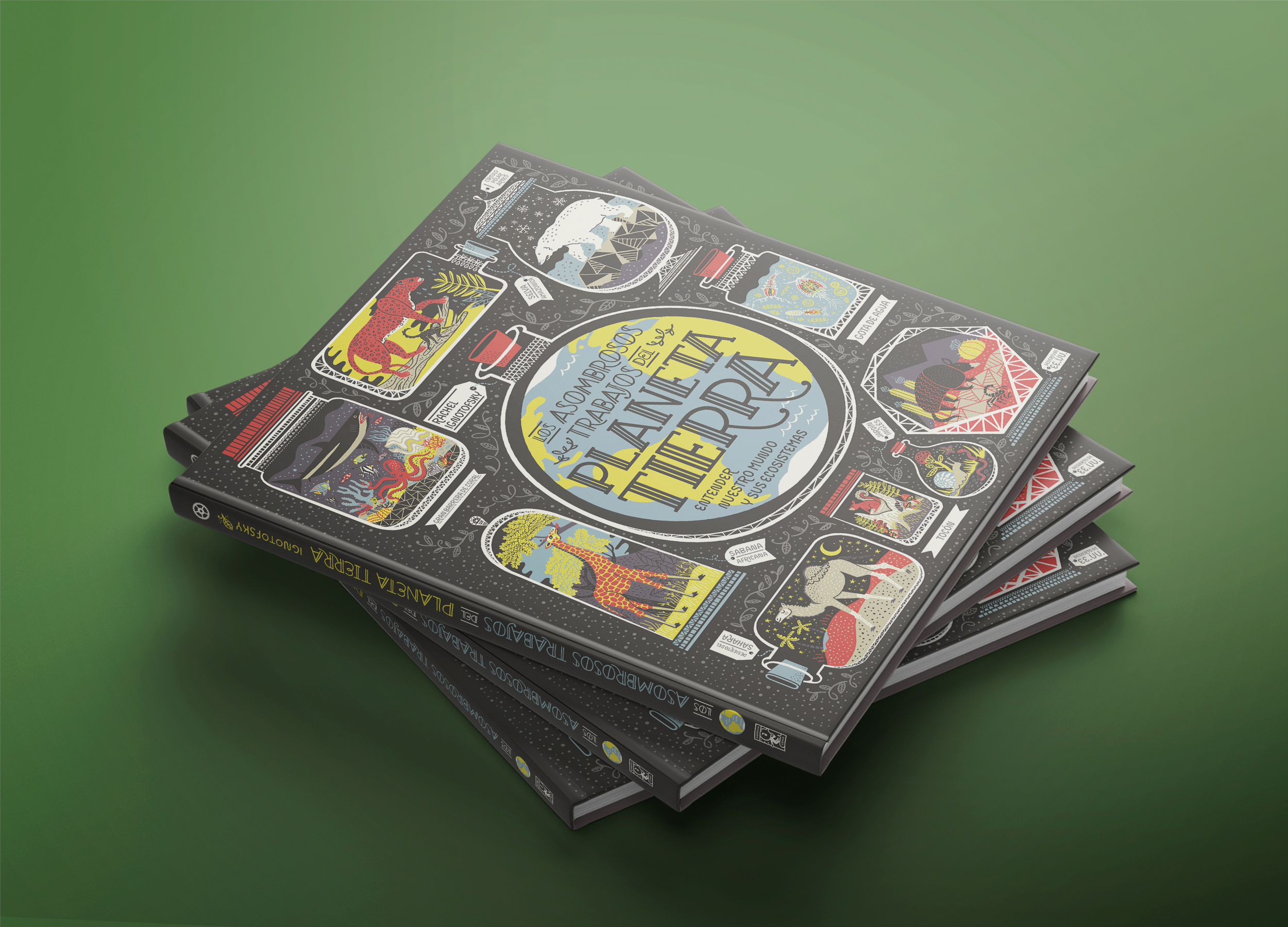 Planeta Tierra - Imagen 3