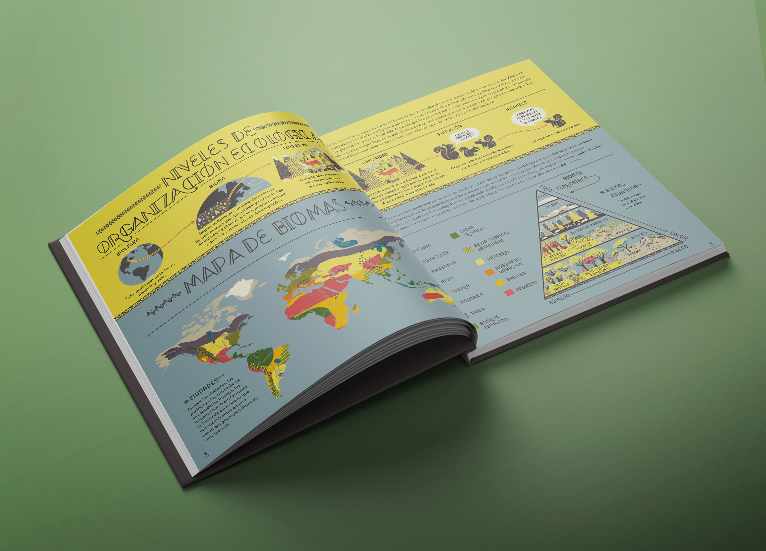 Planeta Tierra - Imagen 4