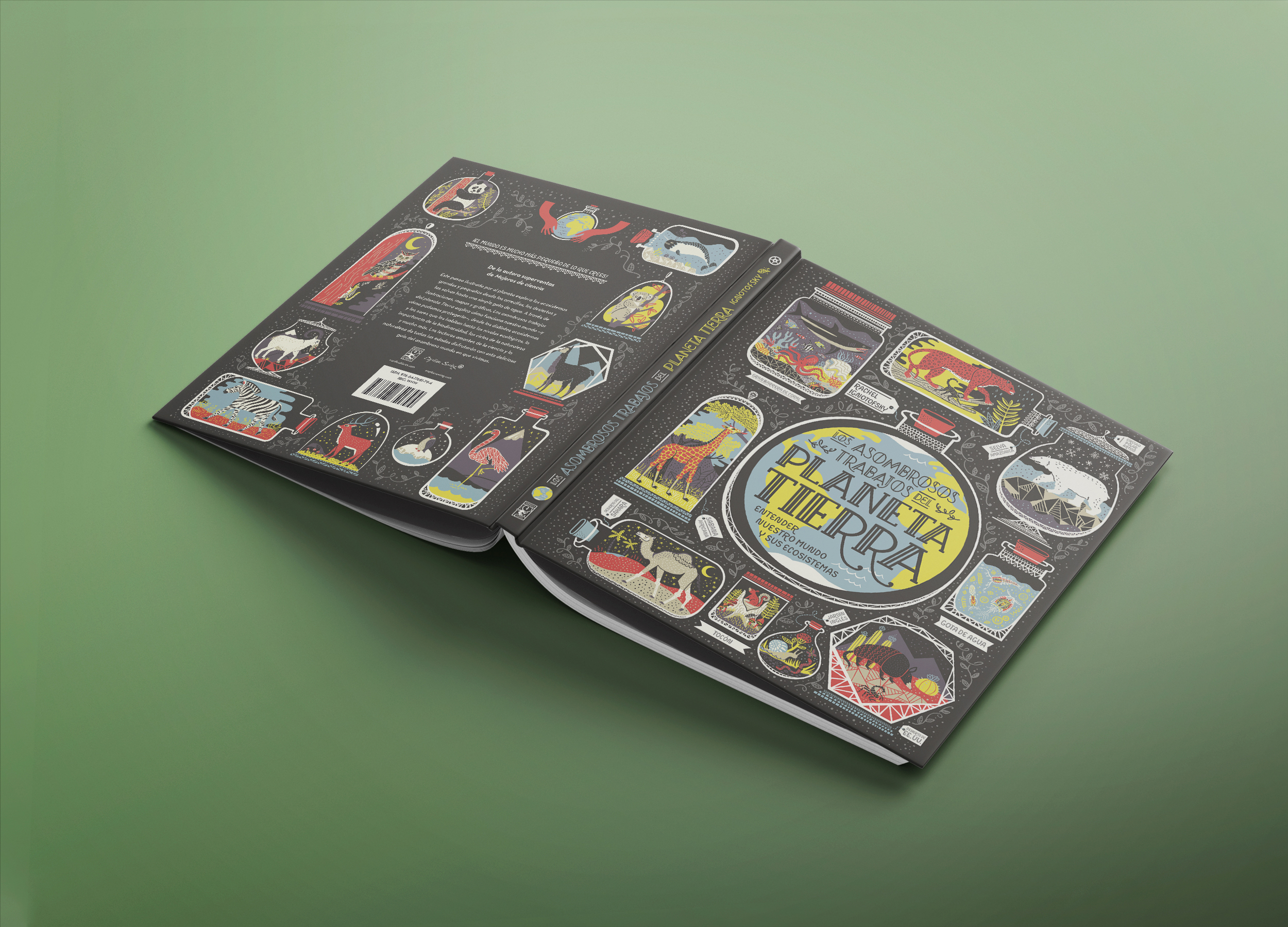 Planeta Tierra - Imagen 5