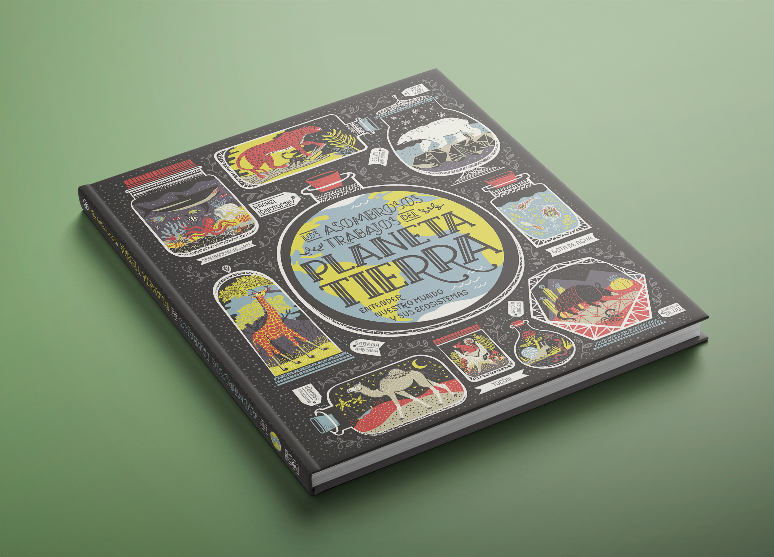 Planeta Tierra - Imagen 7