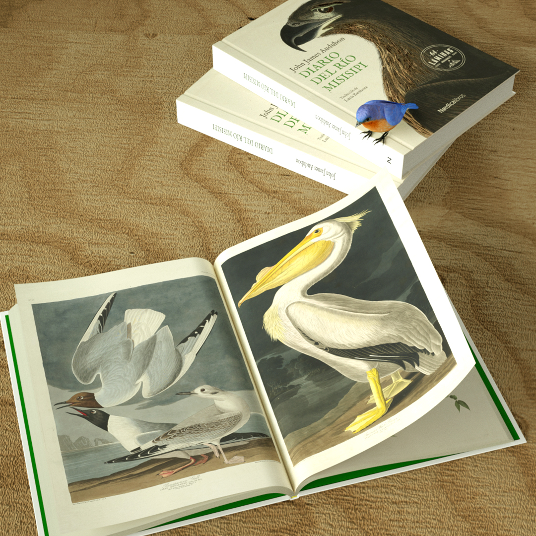 Diario del río Misisipi - Imagen 4