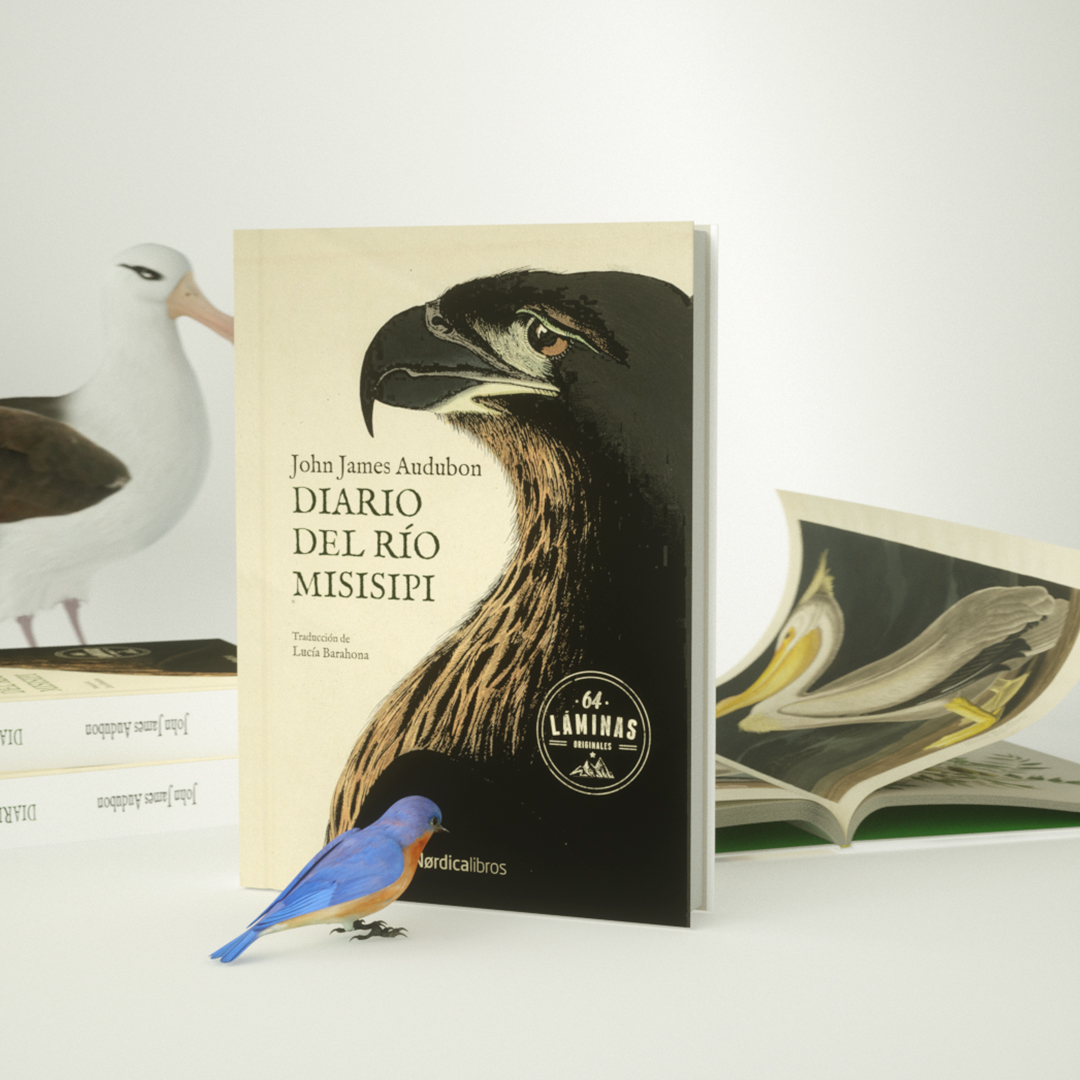 Diario del río Misisipi - Imagen 3