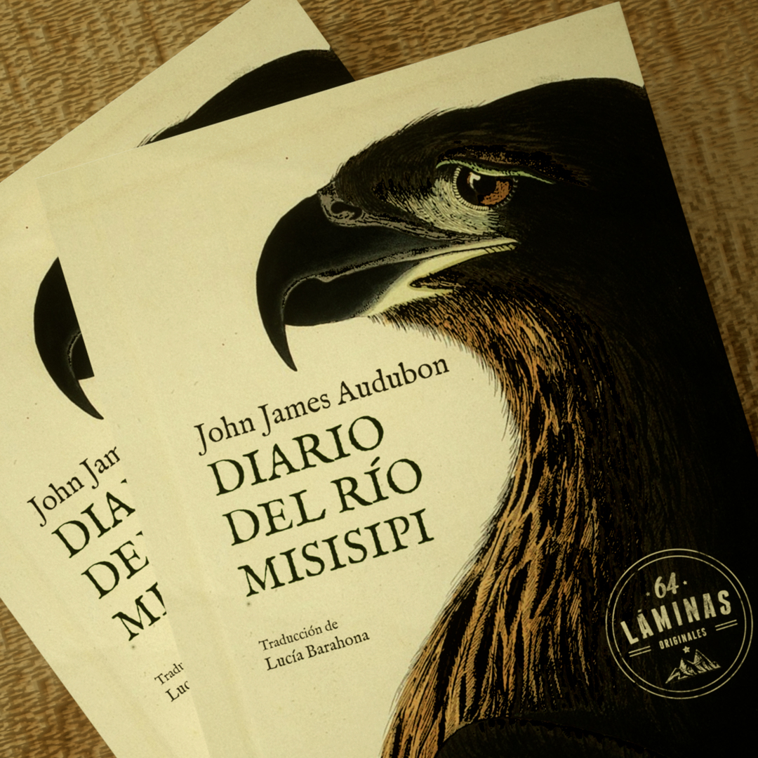 Diario del río Misisipi - Imagen 6