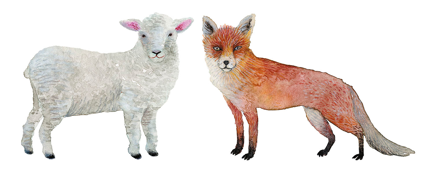 Naturaleza - Imagen 9