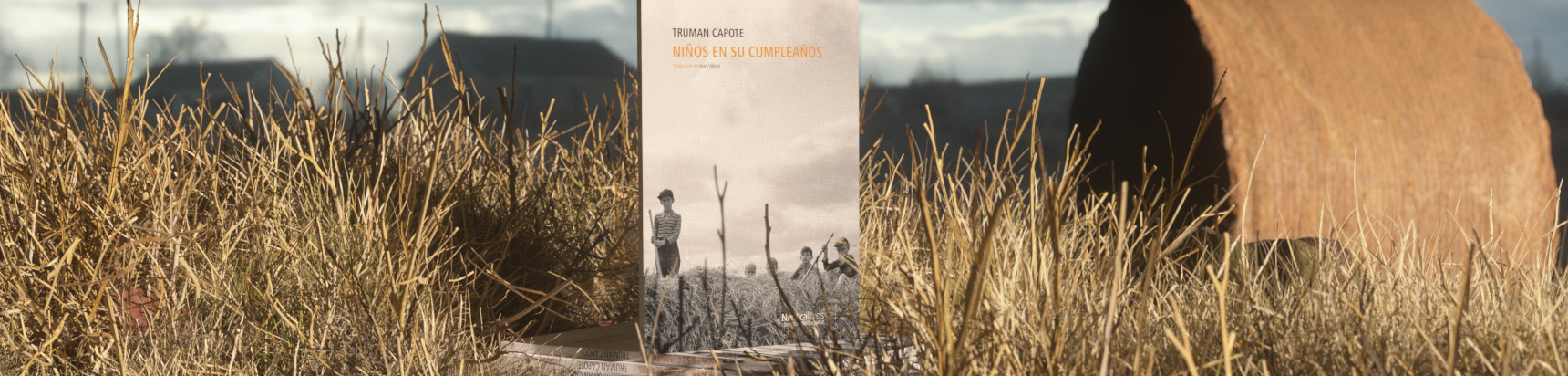 Niños en su cumpleaños - Imagen 8