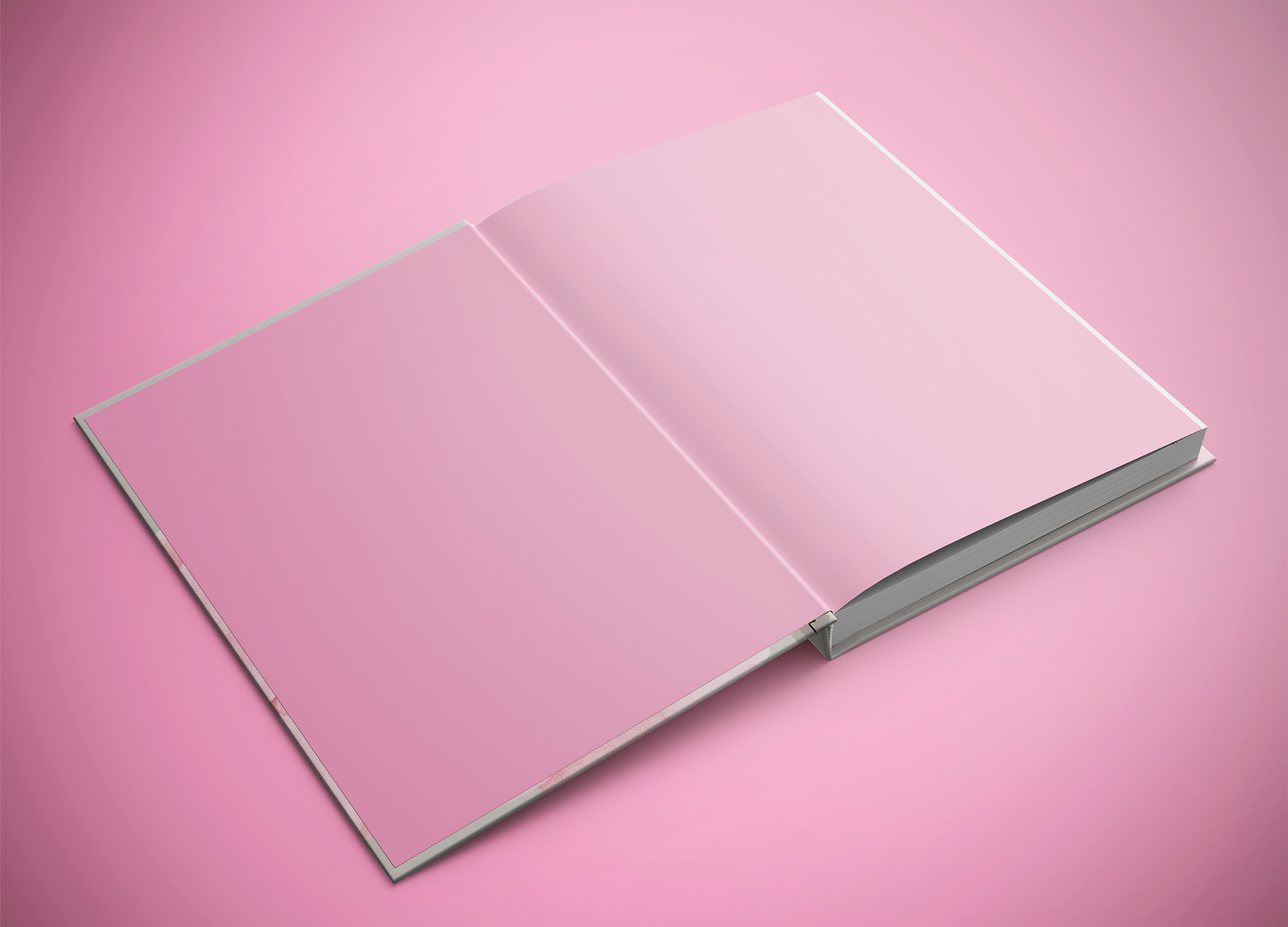 Viatges i Flors - Imagen 8