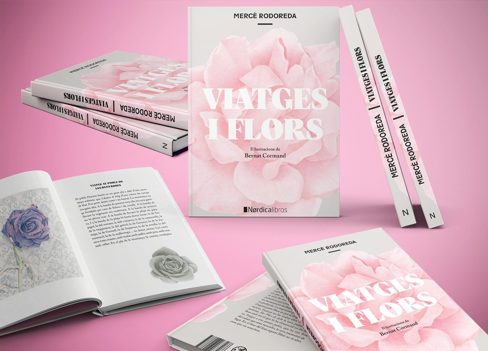 Viatges i Flors - Imagen 7