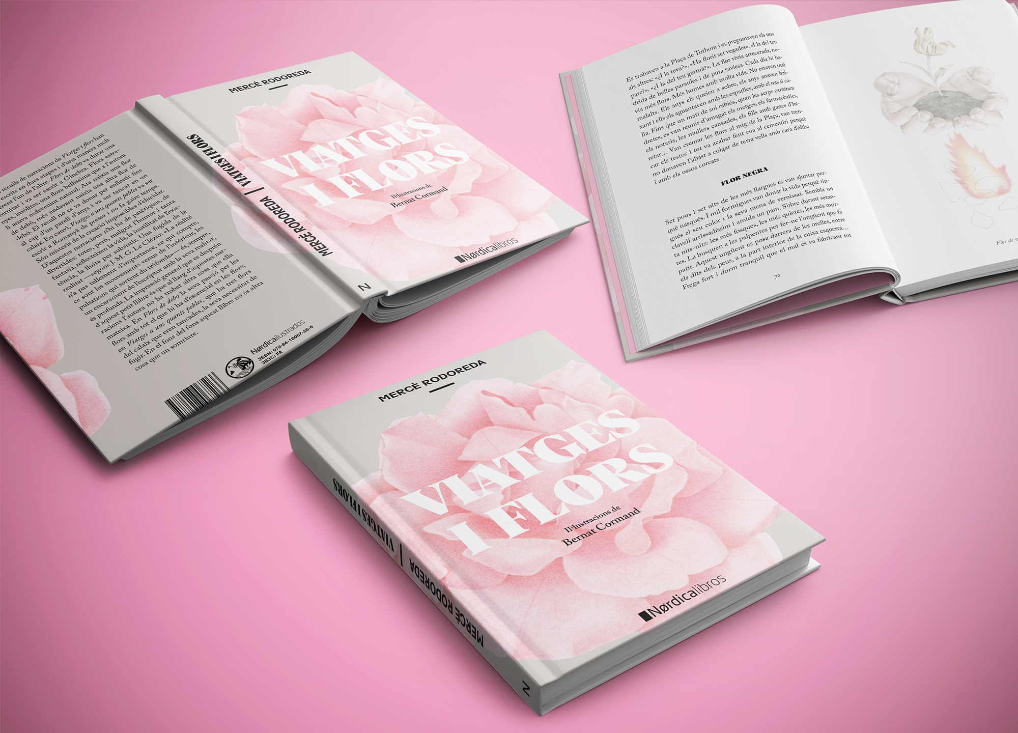 Viatges i Flors - Imagen 6