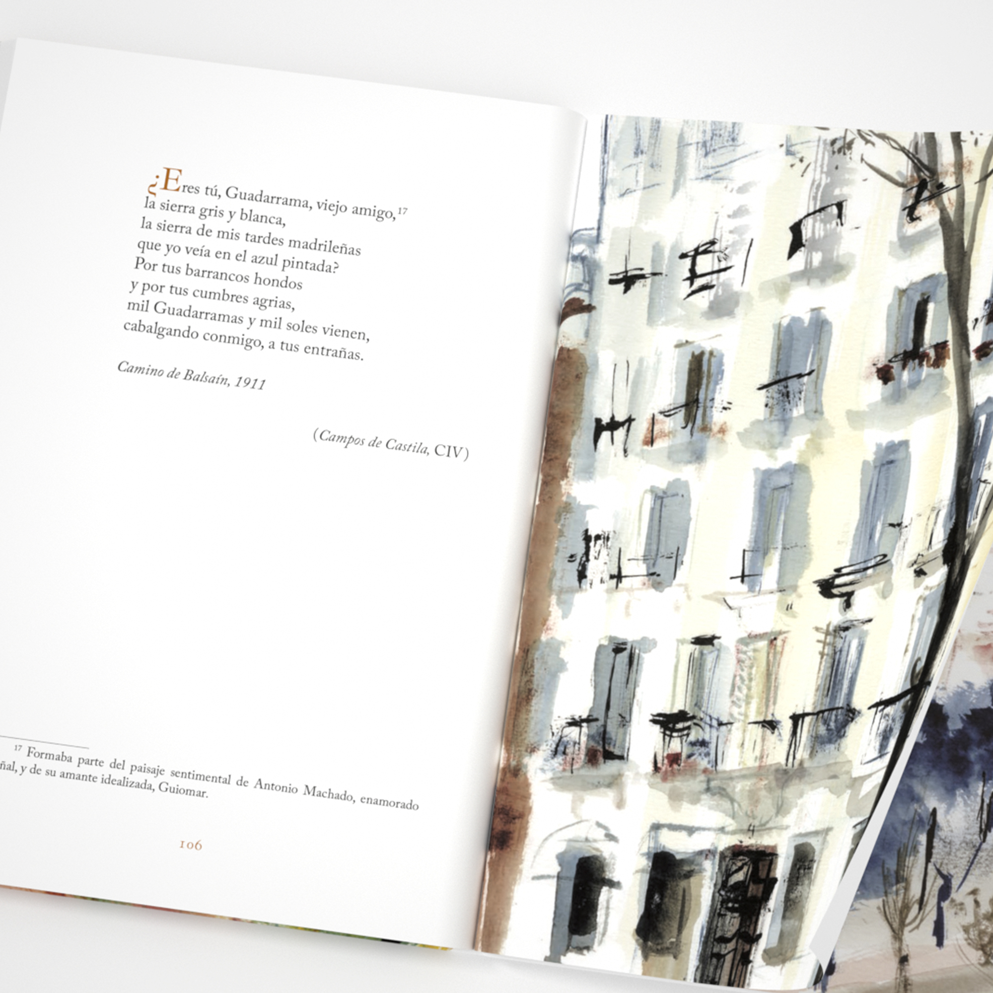 Yo voy soñando caminos - Imagen 8