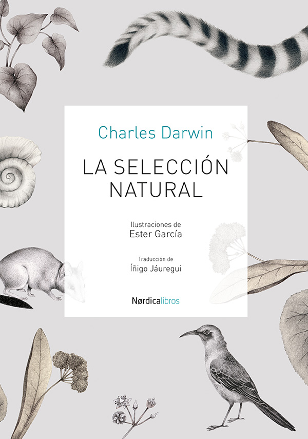 La selección natural - Imagen 2